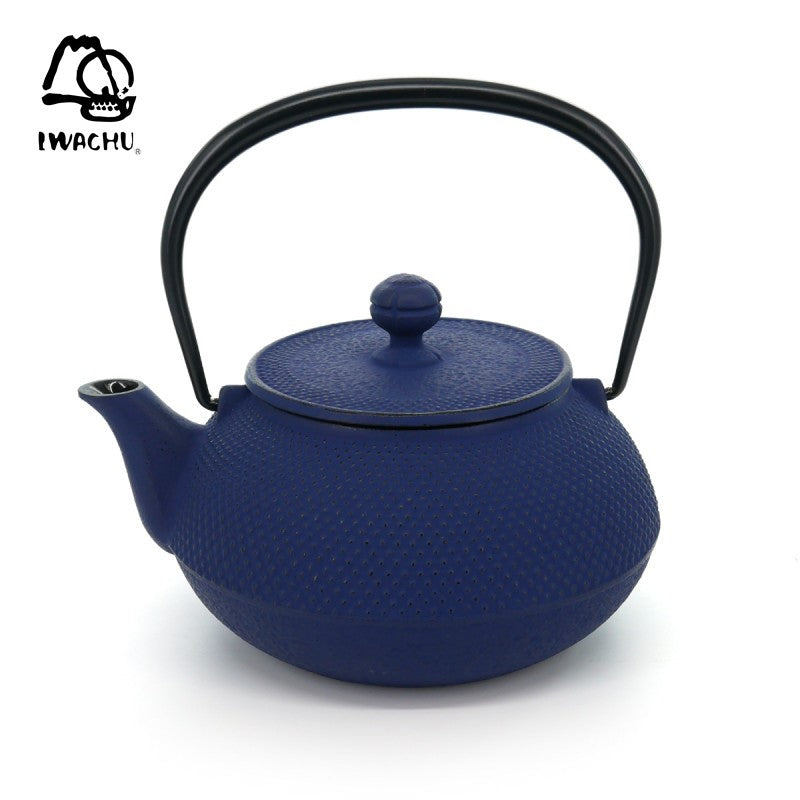 IWACHU Cast Iron Teapot with Tea Strainer 0.32L (Navy) | Isetan KL Online Store