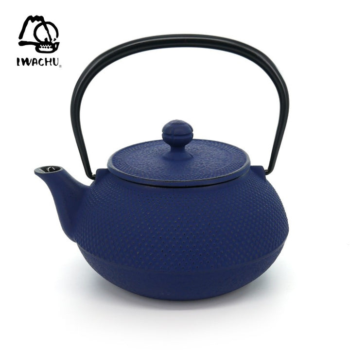 IWACHU Cast Iron Teapot with Tea Strainer 0.32L (Navy) | Isetan KL Online Store