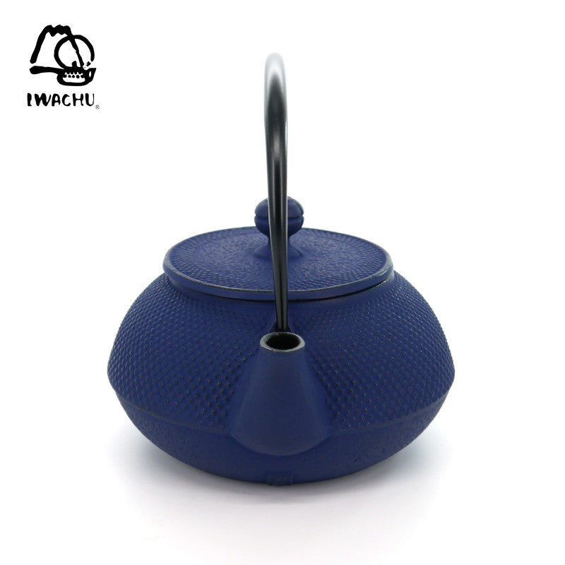 IWACHU Cast Iron Teapot with Tea Strainer 0.32L (Navy) | Isetan KL Online Store