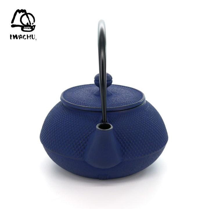 IWACHU Cast Iron Teapot with Tea Strainer 0.32L (Navy) | Isetan KL Online Store