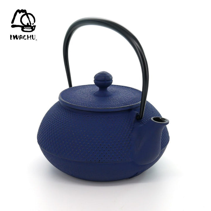 IWACHU Cast Iron Teapot with Tea Strainer 0.32L (Navy) | Isetan KL Online Store