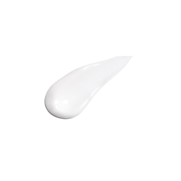 KANEBO Cream In Night 40g | Isetan KL Online Store