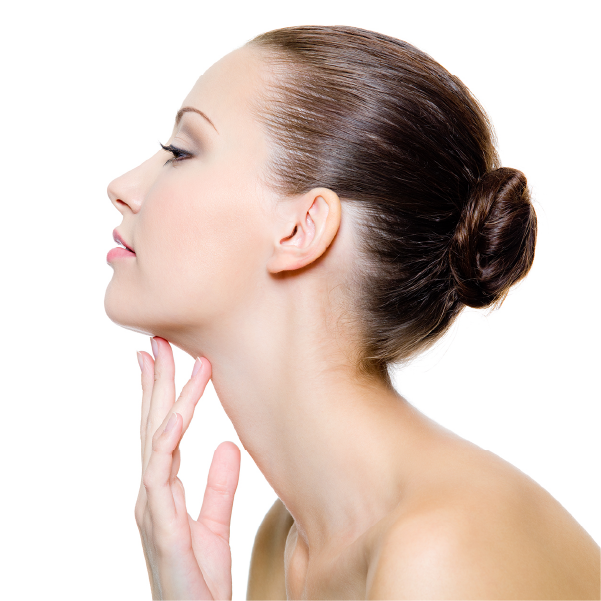 KANEBO Skin-Tightening Cream 40ml | Isetan KL Online Store
