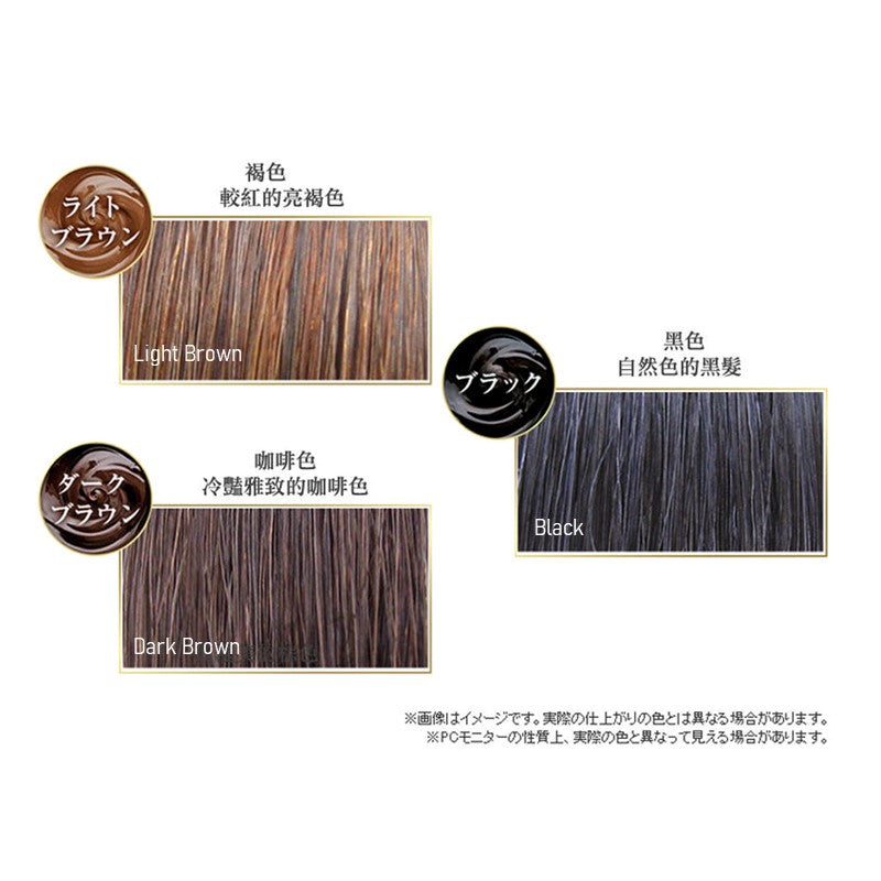 RISHIRI Hair Colouring Treatment 200g | Isetan KL Online Store